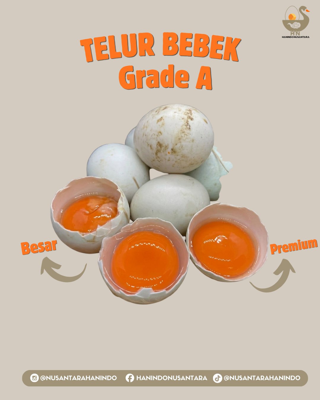 Telur bebek Grade A Hanindo Nusantara - ukuran besar dengan kuning telur oranye pekat